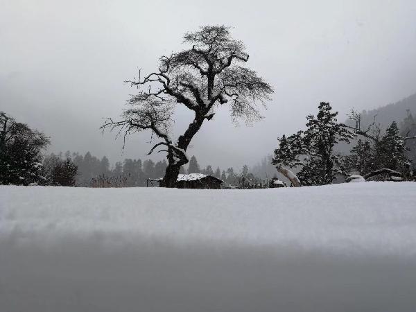 春天眼睛干痒难耐怎么办?- 答非所问,解疑释惑